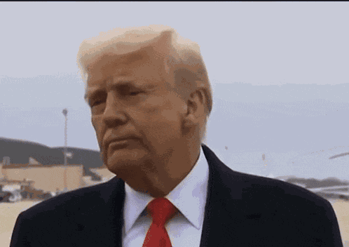 Trump Donald Trump GIF