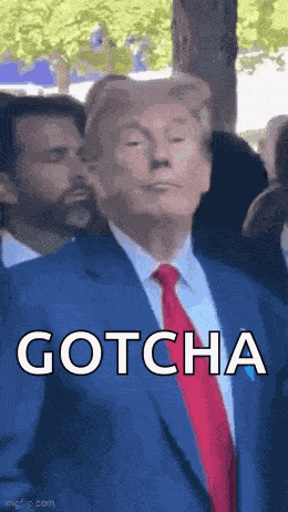 Trump Donald Trump GIF