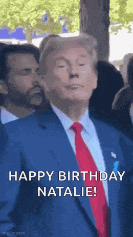 Trump Donald Trump GIF