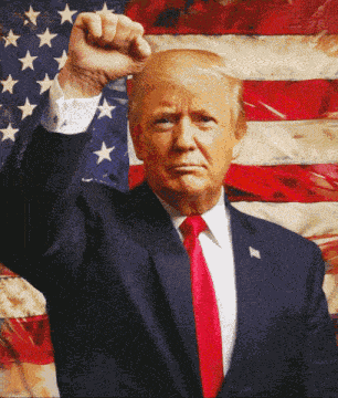 Trump Flag Trump Fight GIF