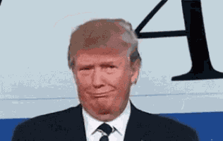 Trump Potus GIF