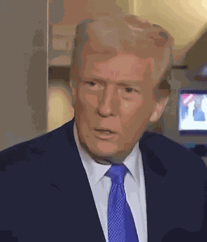 Trump Smh Disbe GIF