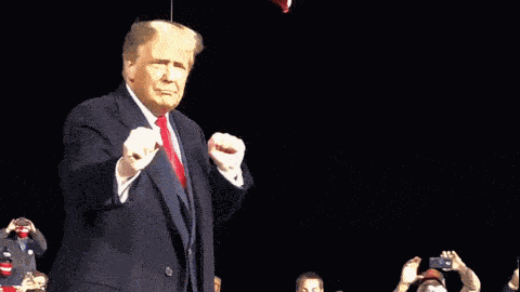 Trump Trump 2024 GIF