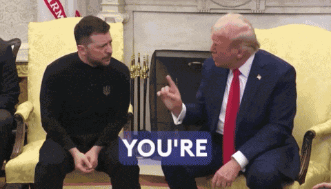Trump Zelensky GIF