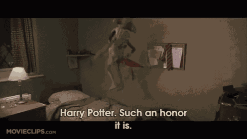Trusty Lil Dobby GIF
