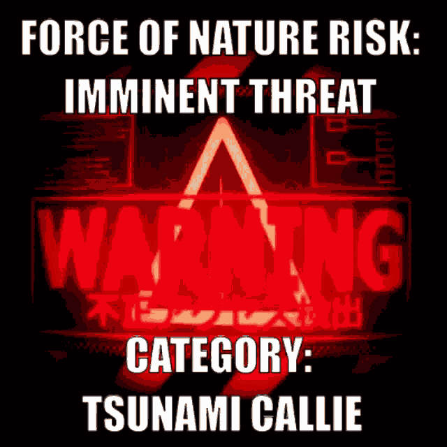 Tsunami Callie Callie Warning GIF