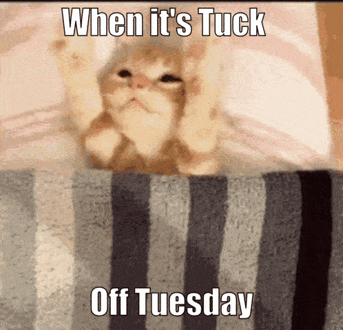 Tuck Off GIF