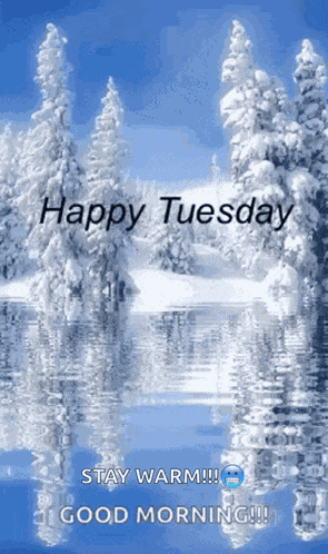 Tuesday Happy GIF