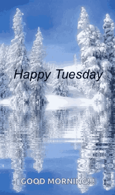 Tuesday Happy GIF