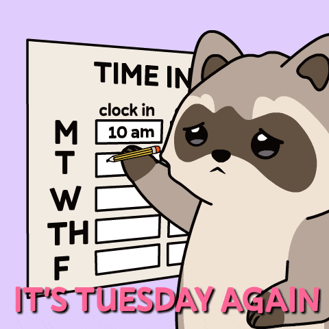 Tuesday Happy Tuesday GIF