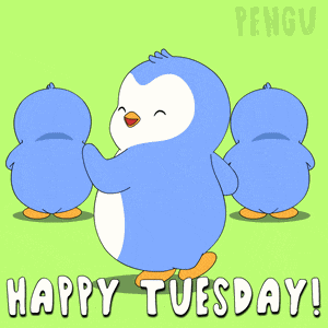 Tuesday Happy Tuesday GIF
