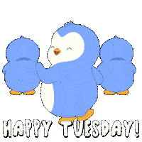 Tuesday Happy Tuesday Sticker