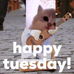 Tuesday Jamcat GIF