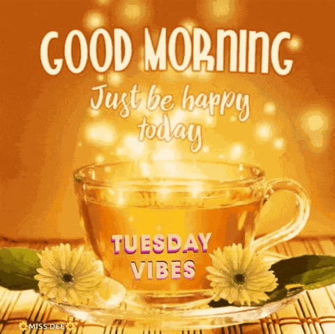Tuesday Morning Good Tuesday Morning GIF