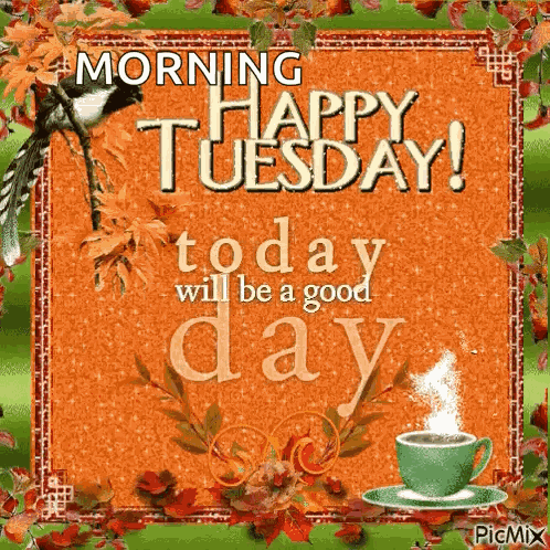 Tuesday GIF
