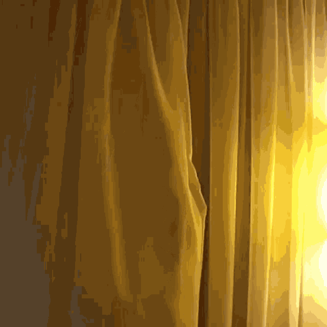 Tulla Curtain Tulla Peakaboo GIF