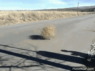 Tumble Weed GIF
