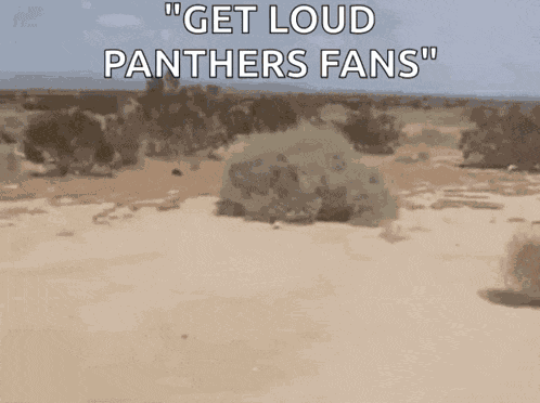 Tumbleweed Silence GIF