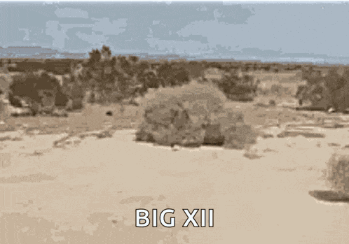 Tumbleweeds Desert GIF