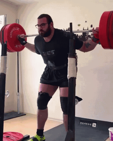 Tuna Tavus Tuna GIF