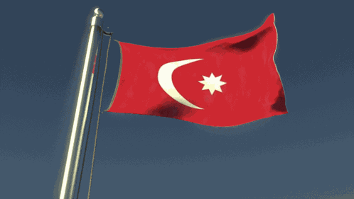 Turkey Flag GIF