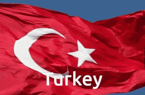 Turkey Flag Turkish GIF