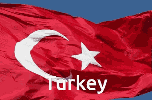 Turkey Flag Turkish GIF