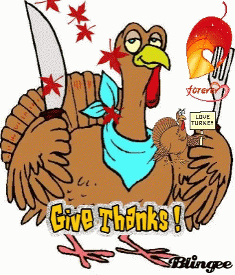 Turkey Jokes GIF
