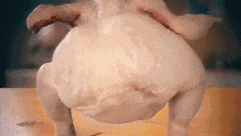 Turkey GIF