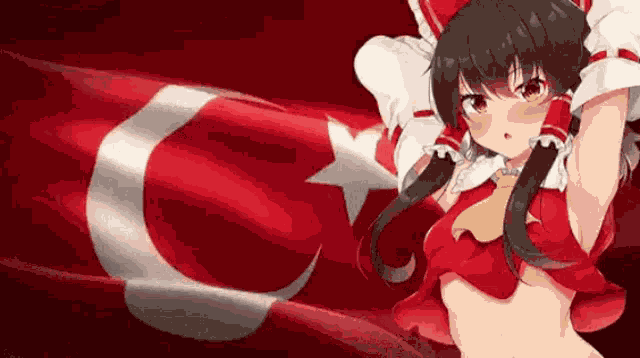 Turkey Reimu GIF