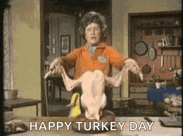 Turkey Thanksgiving GIF