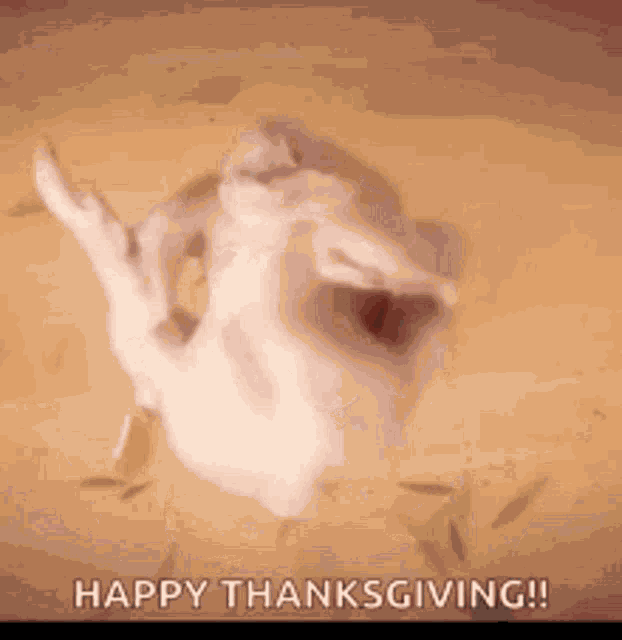 Turkey Thanksgiving GIF