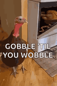 Turkey Thanksgiving GIF