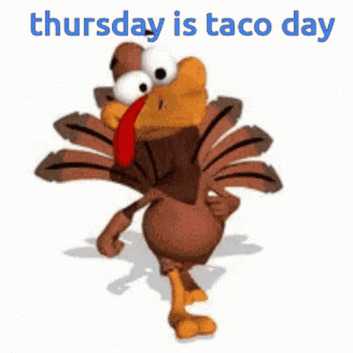 Turkey Thanksgiving Week GIF