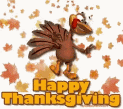 Turkey Trot Wow GIF