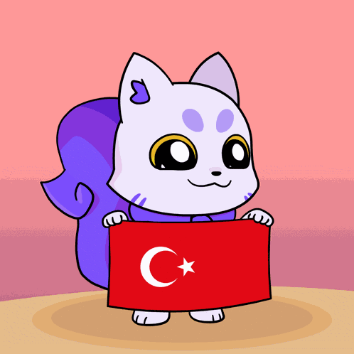 Turkey Tur GIF
