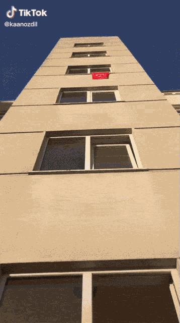 Turkey Turkey Man GIF