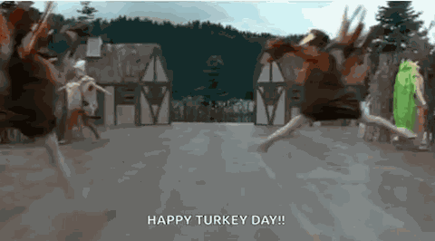 Turkey Turkeys GIF