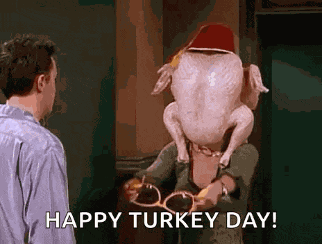 Turkeyday Thanksgiving GIF