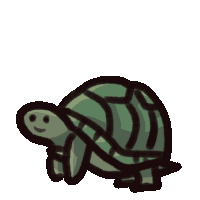 Turtle Explosion Sticker