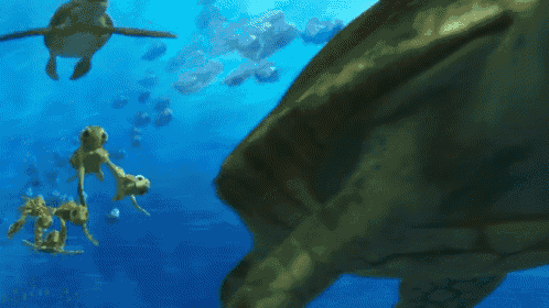 Turtles GIF