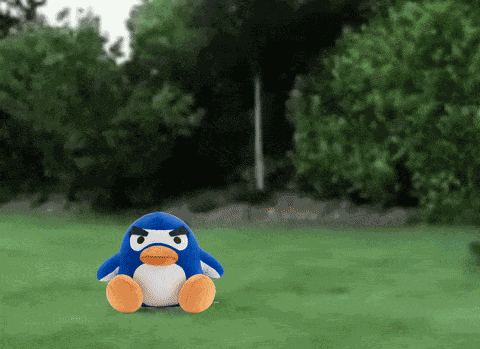 Tutorial Tutorial Terry GIF