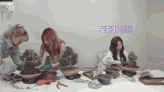 Twice Tv Home Gardening GIF