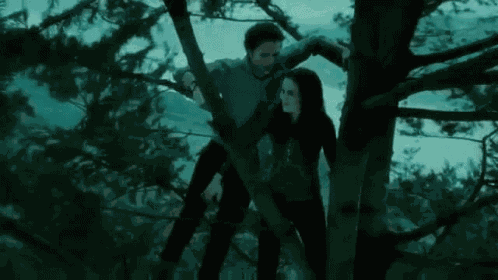 Twilight GIF
