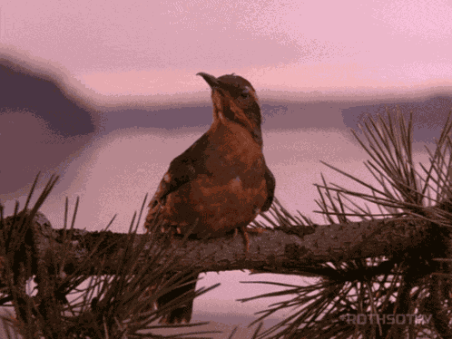 Twin Peaks 1990 GIF