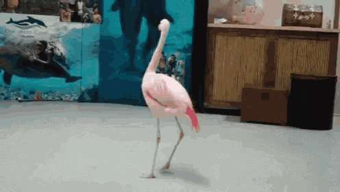 Twirl Flamingo GIF