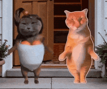 Two Cats Dancing Dancing Cats GIF