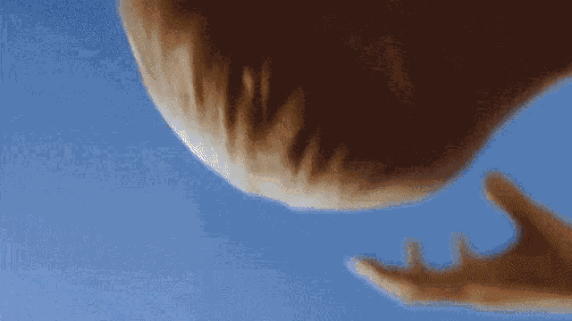 Txt Ascend Hyuka Ascend GIF