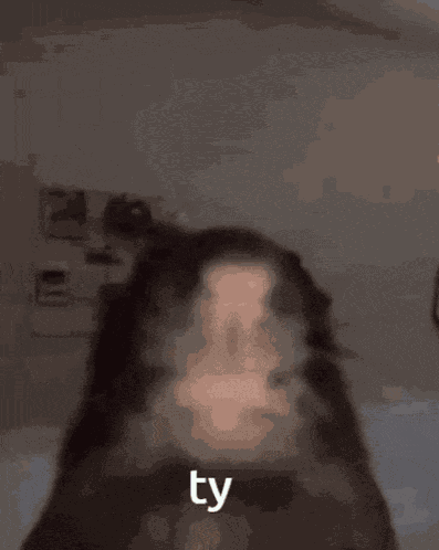 Ty GIF