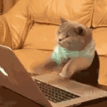 Type GIF